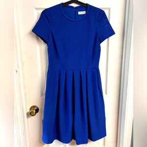Calvin Klein Dress Royal Blue Size 4 Knee-length
